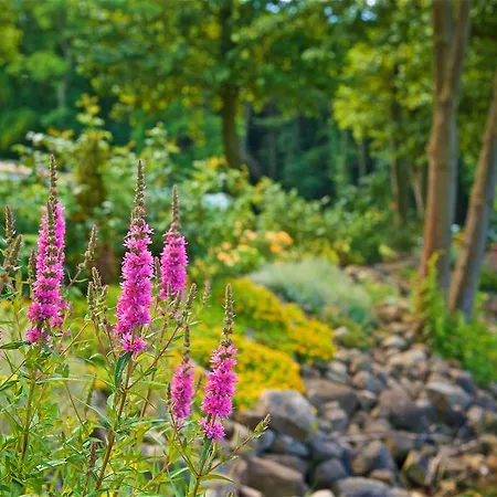 Panorama Seeresort &