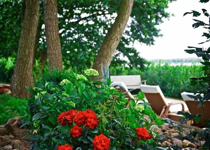 호텔 Panorama Seeresort & 4*