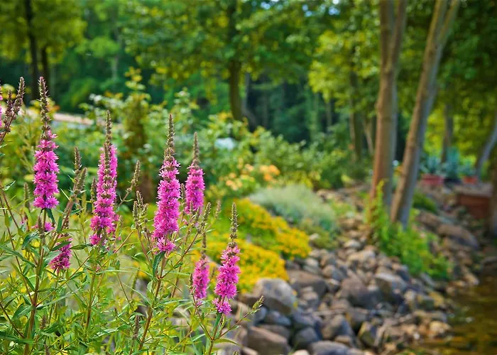 Panorama Seeresort &